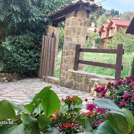 Εν Αρχή - En Arhi Villa Ano Trikala Dış mekan fotoğraf