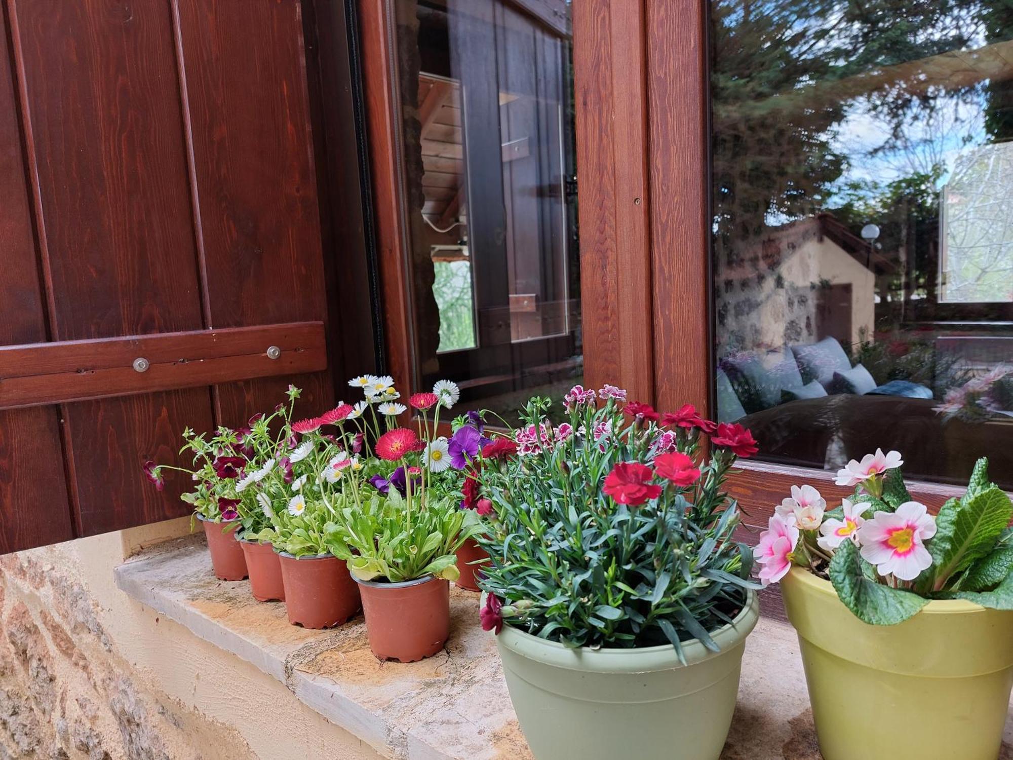 Εν Αρχή - En Arhi Villa Ano Trikala Dış mekan fotoğraf