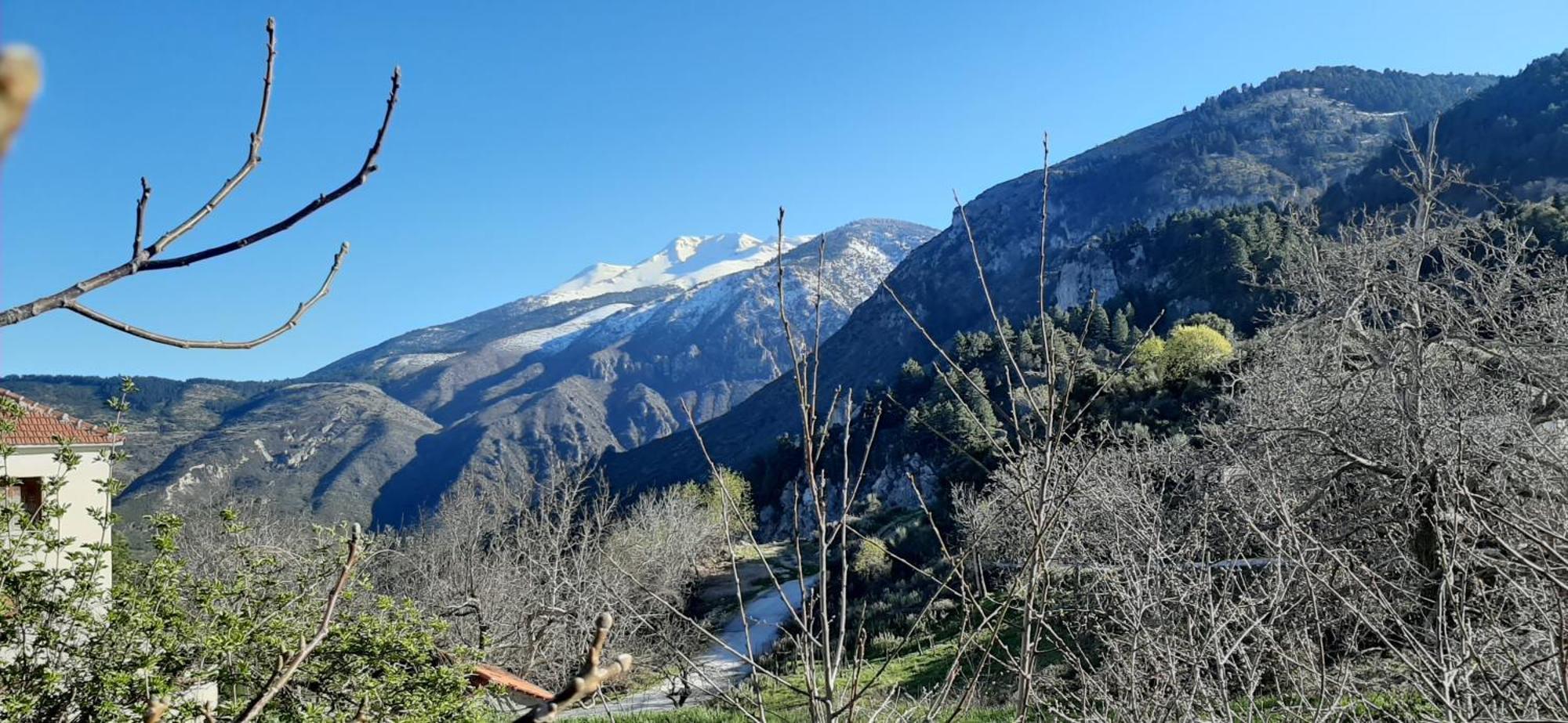 Εν Αρχή - En Arhi Villa Ano Trikala Dış mekan fotoğraf