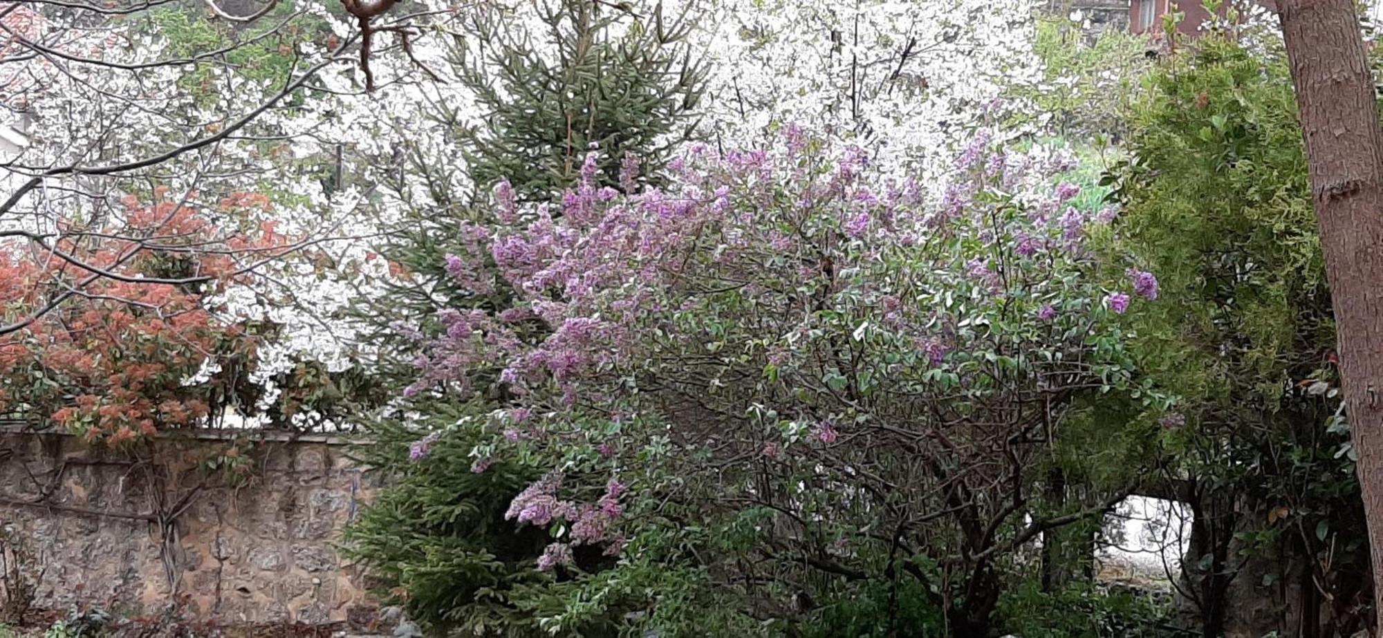 Εν Αρχή - En Arhi Villa Ano Trikala Dış mekan fotoğraf
