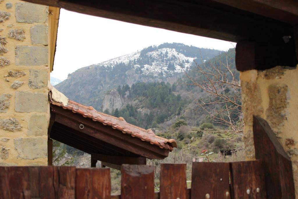 Εν Αρχή - En Arhi Villa Ano Trikala Oda fotoğraf