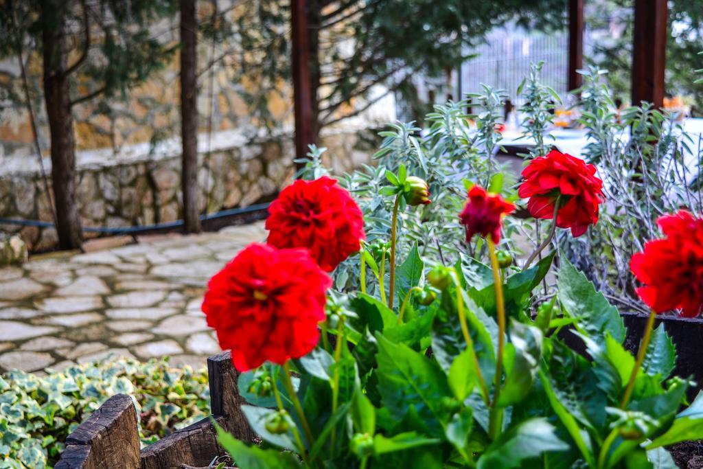 Εν Αρχή - En Arhi Villa Ano Trikala Dış mekan fotoğraf